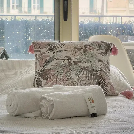 Beau 2 A 5 Min De La Croisette A2b260 Appartement